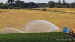 Com 7,8 mil projetos, Banco do Agricultor já liberou R$ 1 bilhão para produtores rurais