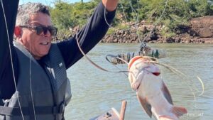 Pesca predatória: IAT multa e recolhe equipamentos irregulares no Oeste e Noroeste
