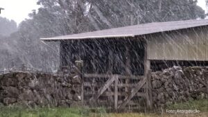 Neve cobre campos e cidades no Sul do Brasil