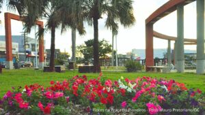Flores dão vida à Praça dos Pioneiros em Assis Chateaubriand
