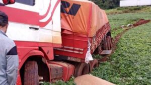 Brasil: Caminhoneiro vindo paraguaio invade plantação para evitar acidente e agricultor exige dinheiro