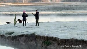 Com -7,8°C, quarta-feira teve menor temperatura do ano no Paraná e geada na Capital