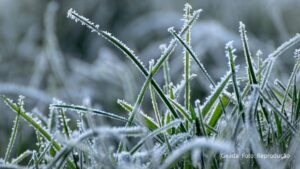 Preparem o casaco, o cobertor e a touca: Simepar emite alerta de geada no Paraná