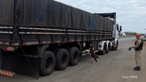 Com ajuda de cão, PMPR intercepta 1 tonelada de maconha em caminhão de arroz