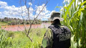 PMPR resgata 216 animais e coíbe desmatamento em área de 159 hectares durante Mês do Meio Ambiente