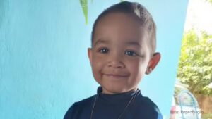 Após ser picado por escorpião, menino sofre 33 paradas cardíacas e morre no Paraná