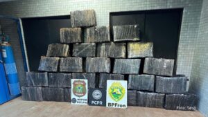 Ação policial integrada resulta na apreensão de 732 kg de maconha em Foz do Iguaçu