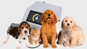 Município de Assis Chateaubriand adquire bisturi ultrassônico para o Castramóvel