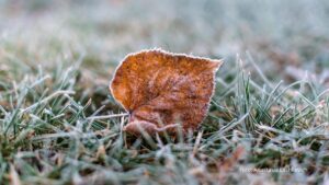Sexta-feira de frio intenso em mais de 10 Estados por conta de massa de ar polar