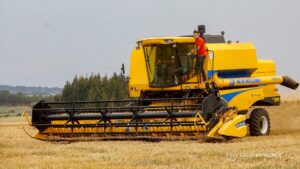 Salários da agropecuária do Paraná crescem no 2º trimestre e superam em 58% a média nacional