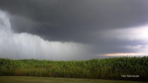 Nova frente fria traz chuva em todo o Paraná entre domingo e segunda