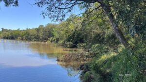 Forças de segurança e salvamento encontram corpo de menino desaparecido em Tibagi