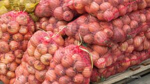 Veículos com cerca de 6 toneladas de cebolas contrabandeadas do Brasil são apreendidos em Ciudad del Este, no Paraguai