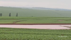 Chuva causa prejuízos no interior de Assis Chateaubriand, no Paraná (Vídeo)