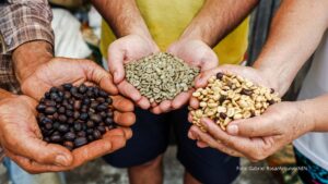 Concurso Café Qualidade Paraná: vencedores de 2025 saem na semana que vem