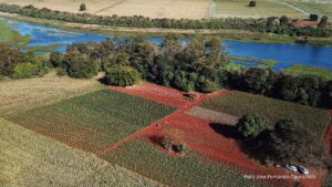 Paraná tem planos estratégicos para agricultura sustentável, segurança hídrica e descarbonização