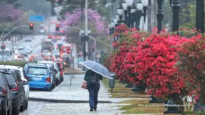 Nova frente fria traz chuva ao Paraná no fim de semana