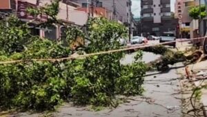 Efeitos do ciclone extratropical provocam destruição e transtornos em São Paulo (Vídeo)