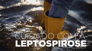Saúde alerta: leptospirose é doença grave e risco aumenta após chuvas