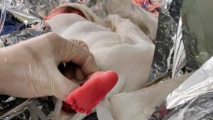 Helicóptero Arcanjo 01 transporta recém-nascida no Verão Maior Paraná