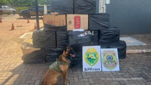 BPFRON apreende cigarros contrabandeados em Mercedes e desarticula ponto de tráfico em Barracão