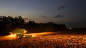 Portaria do Paraná amplia período de plantio da soja para produção de sementes