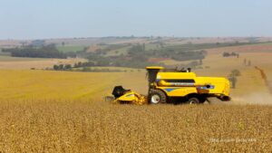 Safra de soja do Paraná se aproxima do recorde e reforça otimismo, aponta Deral