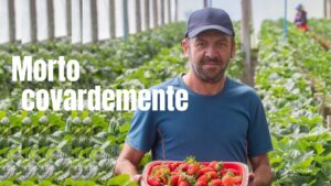 Brigada Militar erra e mata agricultor durante ação desastrosa em Pelotas (Vídeos)