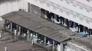 Dobrando a aposta: Moraes manda Bolsonaro para a Papudinha