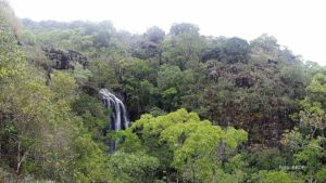Fundo Verde do BRDE destinará R$ 3,5 milhões a projetos paranaenses de sustentabilidade