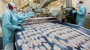 Quaresma de 2026 terá tilápia mais barata para os paranaenses, aponta Deral