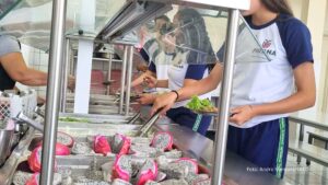 Pitaia amplia alimentação saudável nas escolas e fortalece agricultura familiar