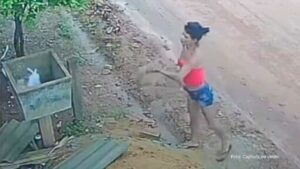 Mulher é flagrada por câmeras jogando cachorros em lixeira em Rondônia (Vídeo)