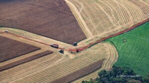 Referência nacional: PIB do Paraná cresce 22% acima da média nacional em 2025