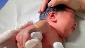 Paraná amplia vacinação da BCG em maternidades e protege bebês contra a tuberculose