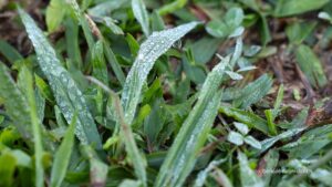 Com massa de ar polar, Paraná tem primeiras temperaturas negativas e recorde de frio no ano