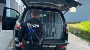PCPR prende suspeitos por roubo de carga de chapas de aço avaliada em R$ 286 mil