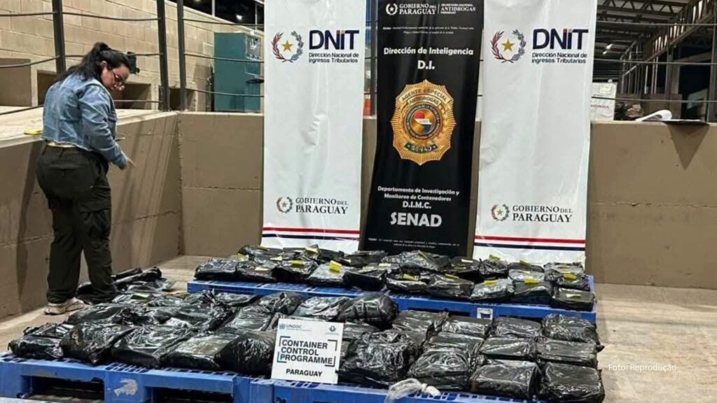 Senad intercepta carga de maconha premium vinda dos EUA, avaliada em US$ 4,3 milhões (Vídeo)