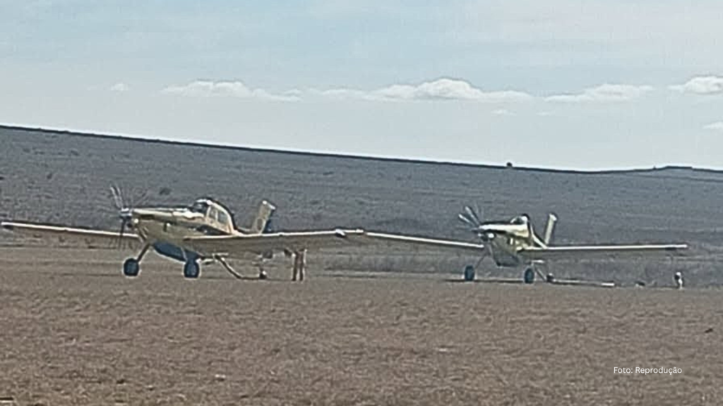 Incêndio florestal de grandes proporções devasta cerca de 400 hectares na Argentina (Vídeo)