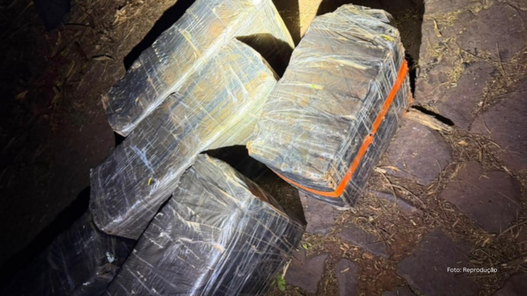 PF e PMPR prendem cinco pessoas e apreendem 205 kg de maconha