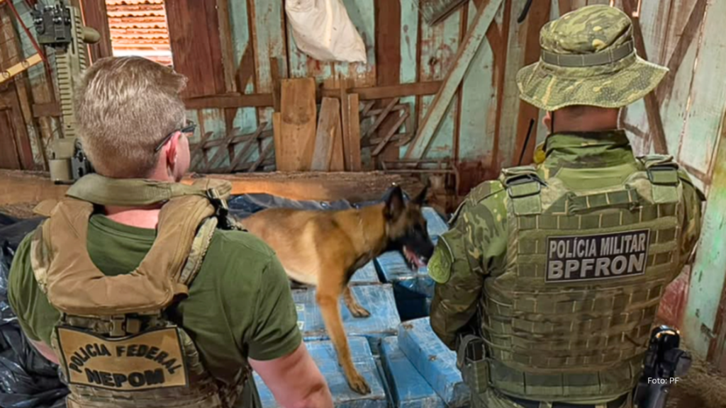 PF atua na apreensão de 708 kg de maconha e de 2 armas em Toledo/PR