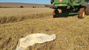 Paraguai: brasileiro morre esmagado por colheitadeira pilotada pelo filho