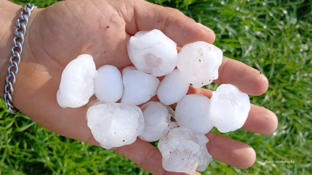 Chuva forte e granizo causam estragos e prejuízos em Clevelândia; 700 imóveis foram danificados (Vídeo)