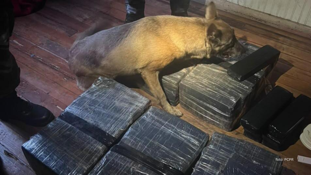 PCPR prende oito pessoas e apreende mais de 120 quilos de drogas em Cascavel